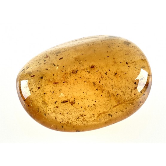 Polished Copal Collector Specimen Pebble Polished Copal Collector Specimen Pebble