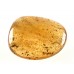 Polished Copal Collector Specimen Pebble Polished Copal Collector Specimen Pebble
