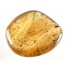 Polished Copal Collector Specimen Pebble Polished Copal Collector Specimen Pebble