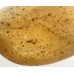 Polished Copal Collector Specimen Pebble Polished Copal Collector Specimen Pebble