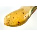 Polished Clear Copal with Mosquitos