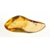 Polished Clear Copal with Mosquitos
