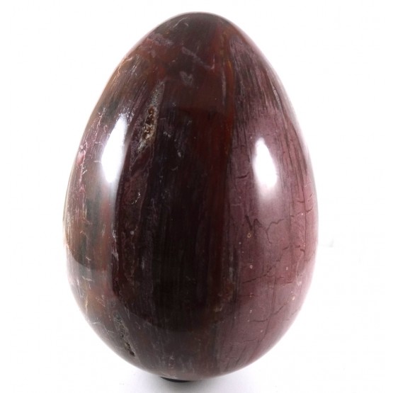 Big Petrified Wood Egg