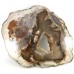 Large Petrified Wood 2 faces polished Slice