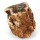 Fossilised Wood Log