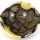 Septaria polished Freeform Bowl