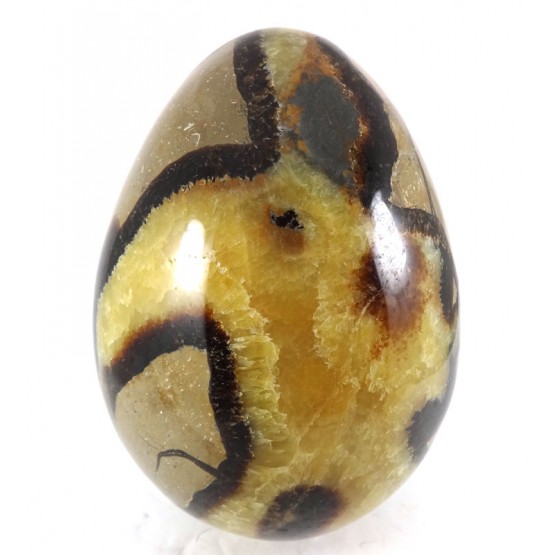 Polished Yellow Septaria Egg