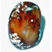 Carnelian all polished Freeform