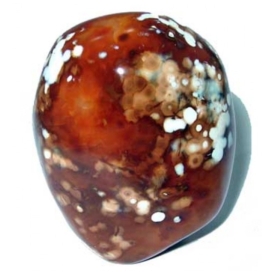 Carnelian all polished Freeform
