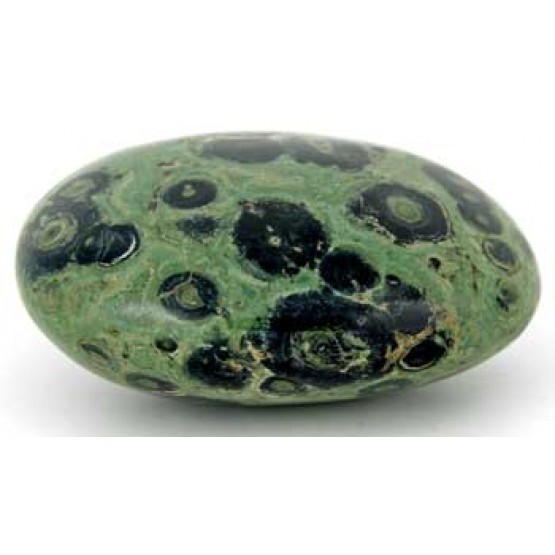 Kambaba Jasper polished Pebble