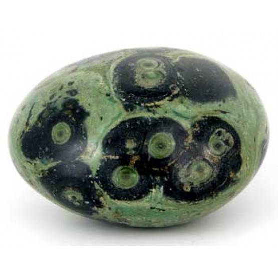 Kambaba Jasper polished Pebble