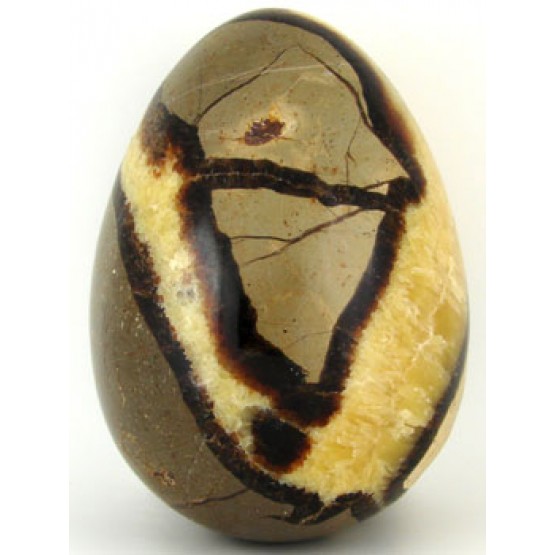 Polished Septaria Egg