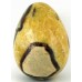 Polished Septaria Egg