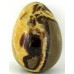 Polished Septaria Egg