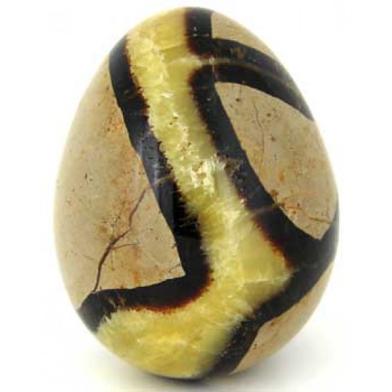 Polished Septaria Egg