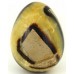 Polished Septaria Egg