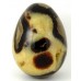 Polished Septaria Egg