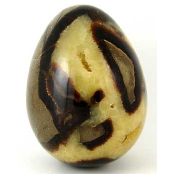 Polished Septaria Egg