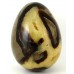 Polished Septaria Egg