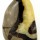 Septaria polished Freeform