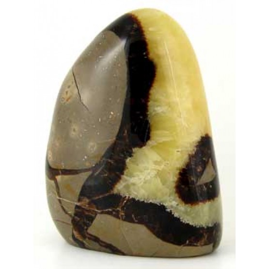 Septaria polished Freeform