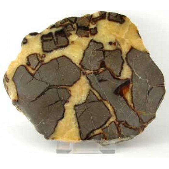 Septaria polished Plaque