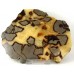 Septaria polished Plaque
