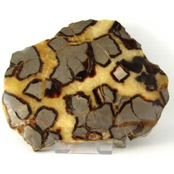 Septaria polished Plaque