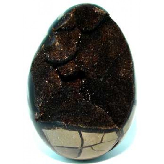 Polished Septaria Egg