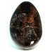 Polished Septaria Egg