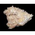 Quartz Cluster