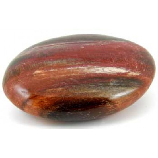 Petrified Wood Pebble.