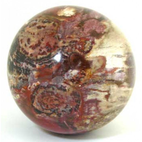 Fossilised Wood Sphere.
