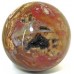 Fossilised Wood Sphere.