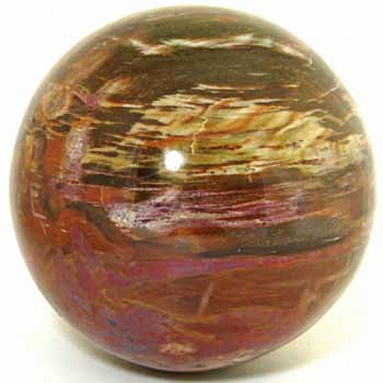 Fossilised Wood Sphere.