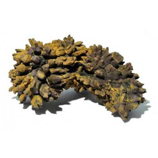 Rough Coprolite
