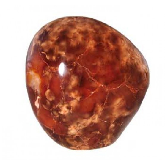Carnelian all polished Freeform