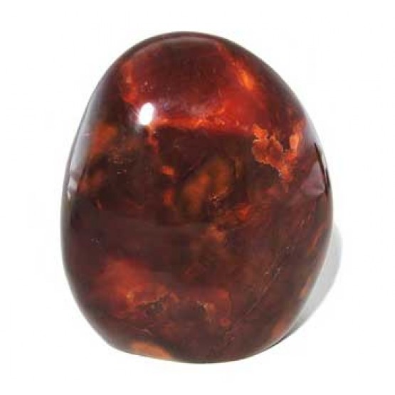 Carnelian all polished Freeform