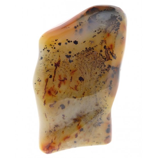 Agate "Dendritic" All Polished Freeform