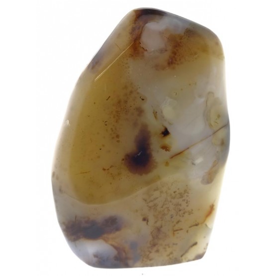 All Polished Freeform Agate "Dendritic" 