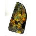 Polished Madagascan Spectrolite "Papillon" Labradorite