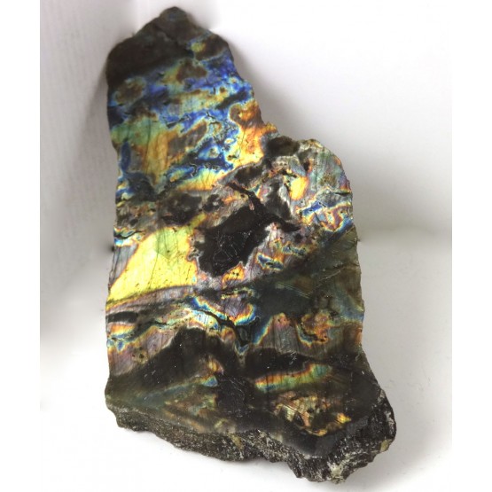 Labradorite 1 Face Standing Polished Slab Labradorite 1 Face Standing Polished Slab