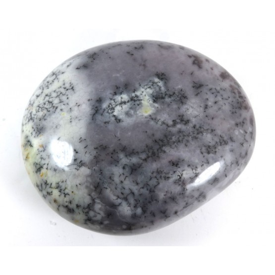 Large Opal Dendrite  Pebble