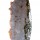 Part Polished Freeform of Orbicular Jasper