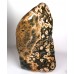 Orbicular Jasper polished Freeform