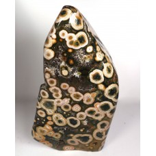 Orbicular Jasper polished Freeform