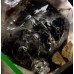 Light Smoky Quartz with Water Bubbles - Enhydro Quartz Light Smoky Quartz with Water Bubbles - Enhydro Quartz