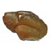 Welsh Calcite Crystal