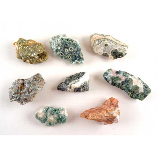 Set of 8 Natural Ocean Jasper Rough Pieces