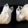 SET of 2  Top Grade Rough Quartz Clusters